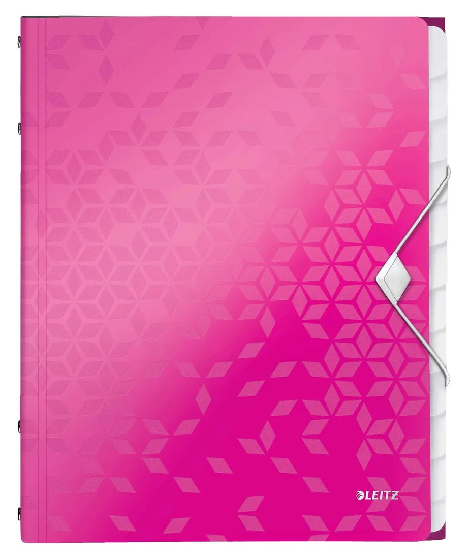 teczka-organizer-a4-leitz