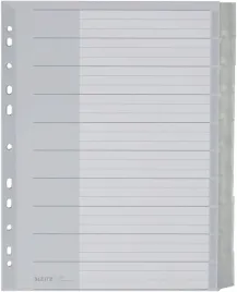 leitz-zakladka-do-formatu-a4-okladka-z-kartonu-i-10-przekladek-z-tworzywa
