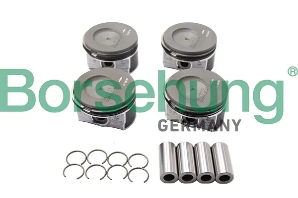 borsehung-b18740-tlok