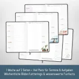 hafft-timer-2025-a5-klasa-6