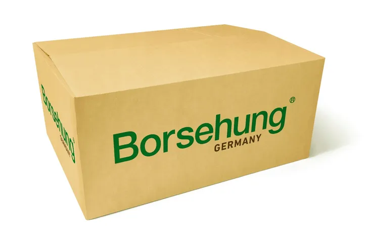 borsehung-b18737-pompa-oleju-typ-samochodu-samochody-dostawcze