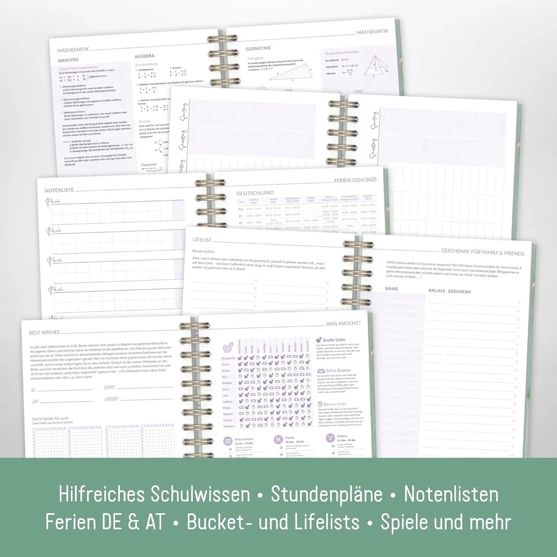 hafft-timer-fancy-2024-2025