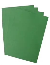 pavo-okladki-do-bindowania-skoropodobne-format-a4-250g-m-zielone-100-szt