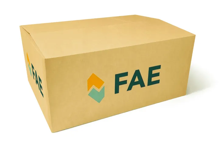 fae-77140-sonda-lambda-waga-z-opakowaniem-4-kg