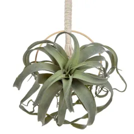 briful-sztuczne-rosliny-wiszace-tillandsia-sukulenty-z-lina-dekoracyjna