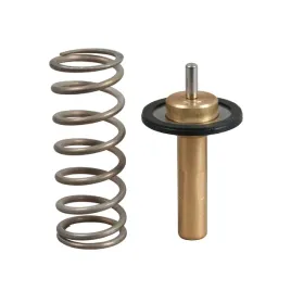 gates-th51690g1-termostat-plyn-chlodzacy
