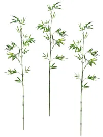 galazka-bambusa-flair-flower