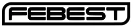 febest-0110-gsv40a48-zestaw-przegubu-wal-napedowy