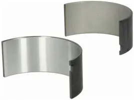 panewki-korbowodowe-daf-55-45-f-800-f-600-f-1000-lf-cf-lf-cf