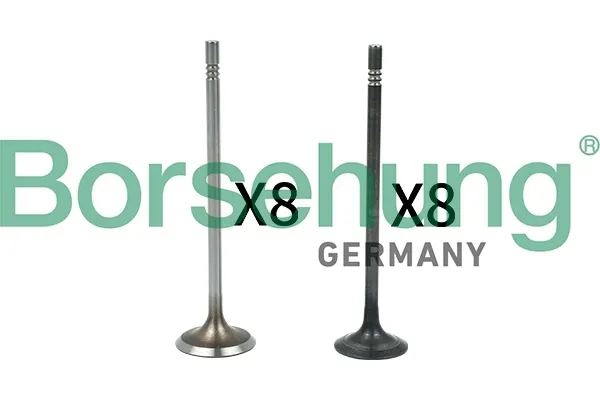 borsehung-b18631-zawor-producent-czesci-borsehung