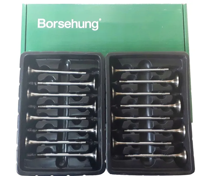 borsehung-b18631-zawor-jakosc-czesci-zgodnie-z-gvo-q-oryginal-z-logo-producenta-czesci-oem-oes