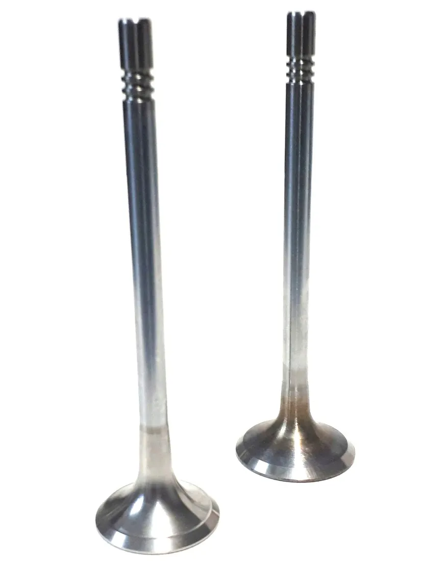 borsehung-b18631-zawor-producent-czesci-borsehung