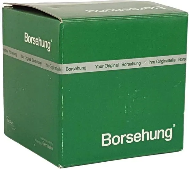 borsehung-b16924-wtryskiwacz-numer-katalogowy-czesci-b16924
