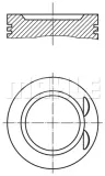 mahle-022-06-01-tlok