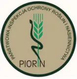 suchodrzew-chinski-sadzonka-kolor-kwiatow-inny-kolor