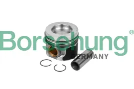 borsehung-b11133-tlok