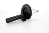 gh-gh-352506-amortyzator