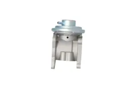 nrf-48321-zawor-agr