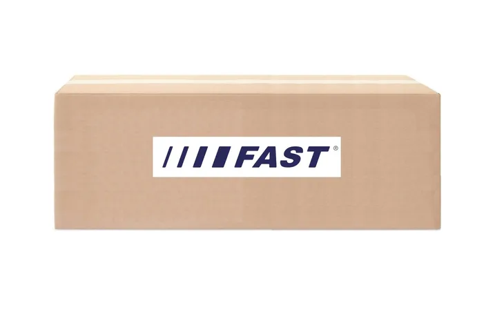 fast-ft31099-tarcza-hamulcowa-waga-produktu-2-kg
