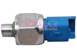 metzger-0910109