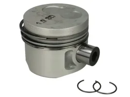 mahle-029-82-00-tlok