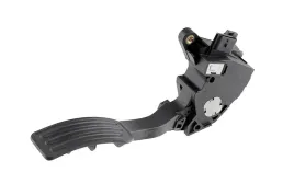 pedal-gazu-nty-eap-ns-001