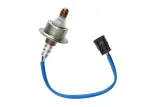 nty-esl-hd-031-sonda-lambda-producent-czesci-nty