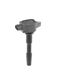 cewka-zaplonowa-borgwarner-zse131
