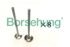 borsehung-b18189-zawor-dolotowy