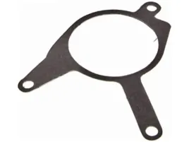 uszczelka-pompy-podcisnienia-dr-motor-drm01962