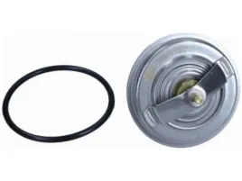 termostat-magneti-marelli-352317100190