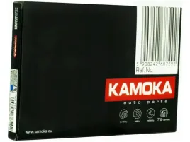 filtr-kabinowy-kamoka-f517601