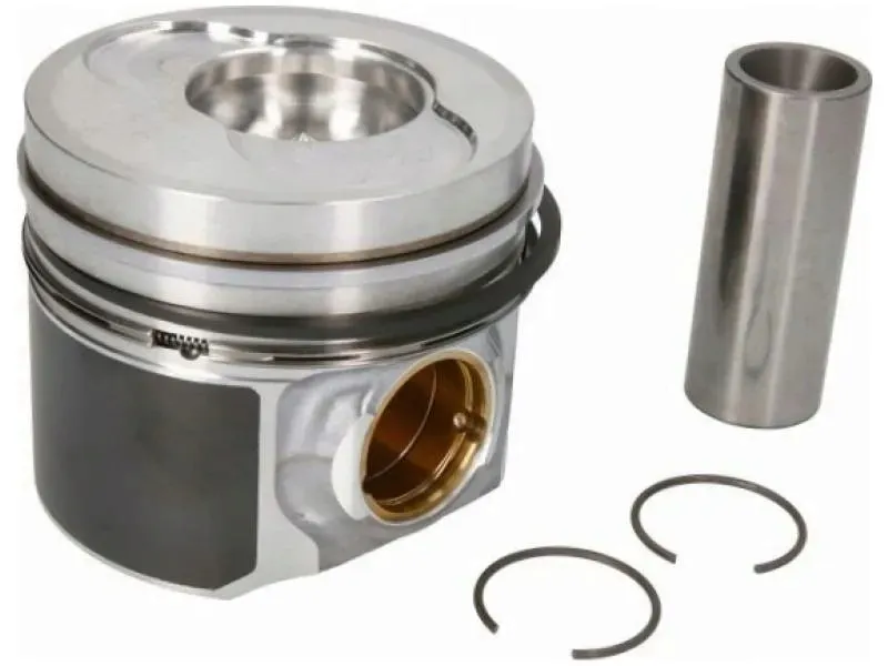 tlok-mahle-030-98-00