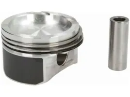 tlok-mahle-010-05-00
