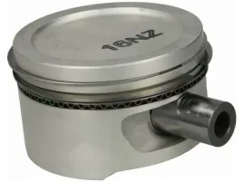 tlok-mahle-011-08-00