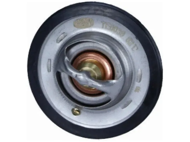 termostat-magneti-marelli-352317100390