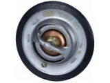 termostat-magneti-marelli-352317100390