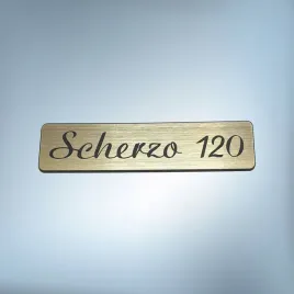 tonsil-scherzo-120-80x20mm-zloty-emblemat-zamiennik-unitra-naklejka-logo