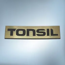 unitra-tonsil-60x15mm-zloty-emblemat-zamiennik-naklejka-logo-znaczek