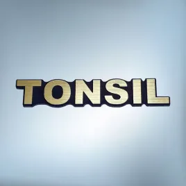 unitra-tonsil-60x10mm-zloty-emblemat-zamiennik-naklejka-logo-znaczek-symbol
