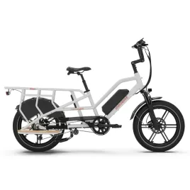 rower-elektryczny-jobobike-transer-bialy-1-baterie