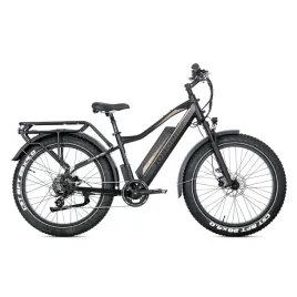 rower-elektryczny-jobobike-robin-pro-czarno-zloty