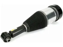 amortyzator-pneumatyczny-arnott-as-3801