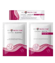 vet-protector-gastro-maslan-3ml-gastro-elektro-3g-gastro-biotyk-forte-3