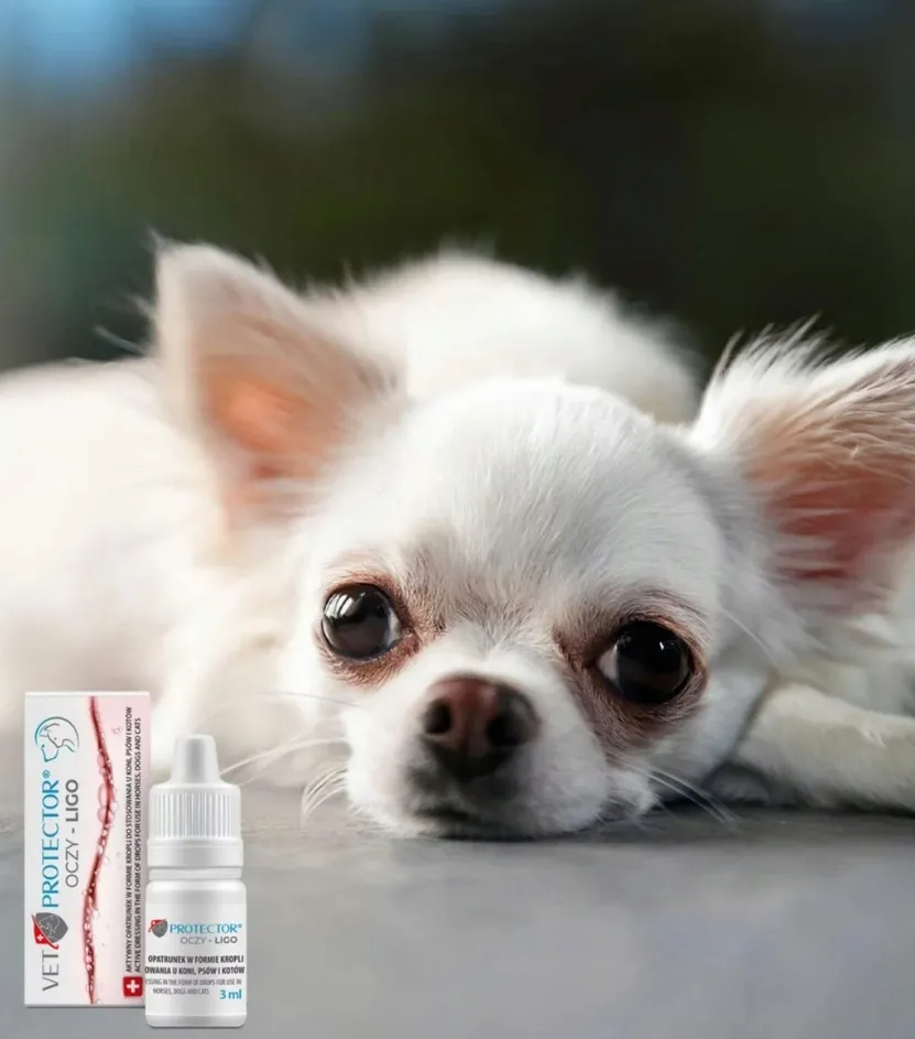 vet-protector-oczy-ligo-preparat-dla-psa-i-kota-do-pielegnacji-3ml