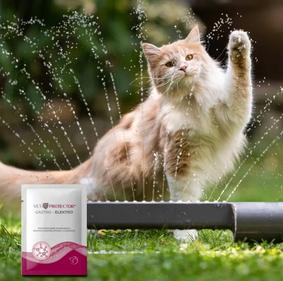 vet-protector-gastro-elektro-3g