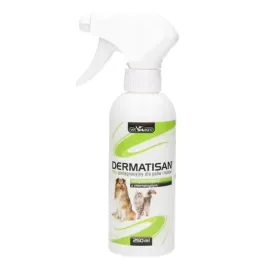 dermatisan-plyn-dezynfekujacy-250-ml