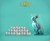 ollo-kot-nr-8-tunczykandalgi-70g-wiek-zwierzecia-karma-uniwersalna