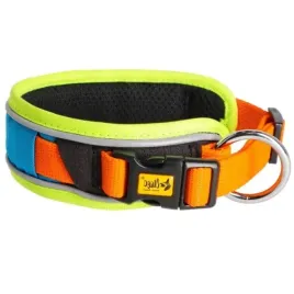 dingo-obroza-regulowana-active-sydney-45-55-cm-l-pomaranczowo-niebieska