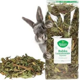 ziolowa-kotlina-babka-lancetowata-dla-gryzoni-200g